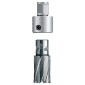 تبدیل کوئیک این به ولدان